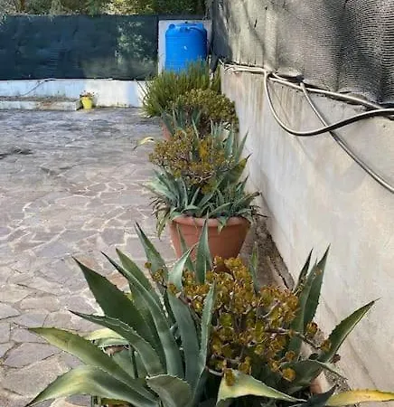 Loft Da Amare A Due Passi Da Tropea Con Cortile E Barbecue בית נופש ריקאדי